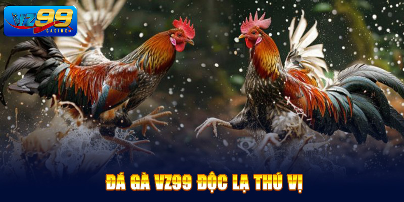 Mẹo cá cược đá gà thành công dành  riêng cho người tham gia